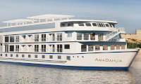 AmaDahlia